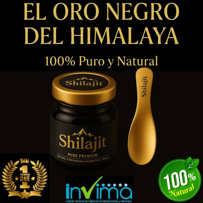 Shilajit - Energía y Vitalidad Natural - 1